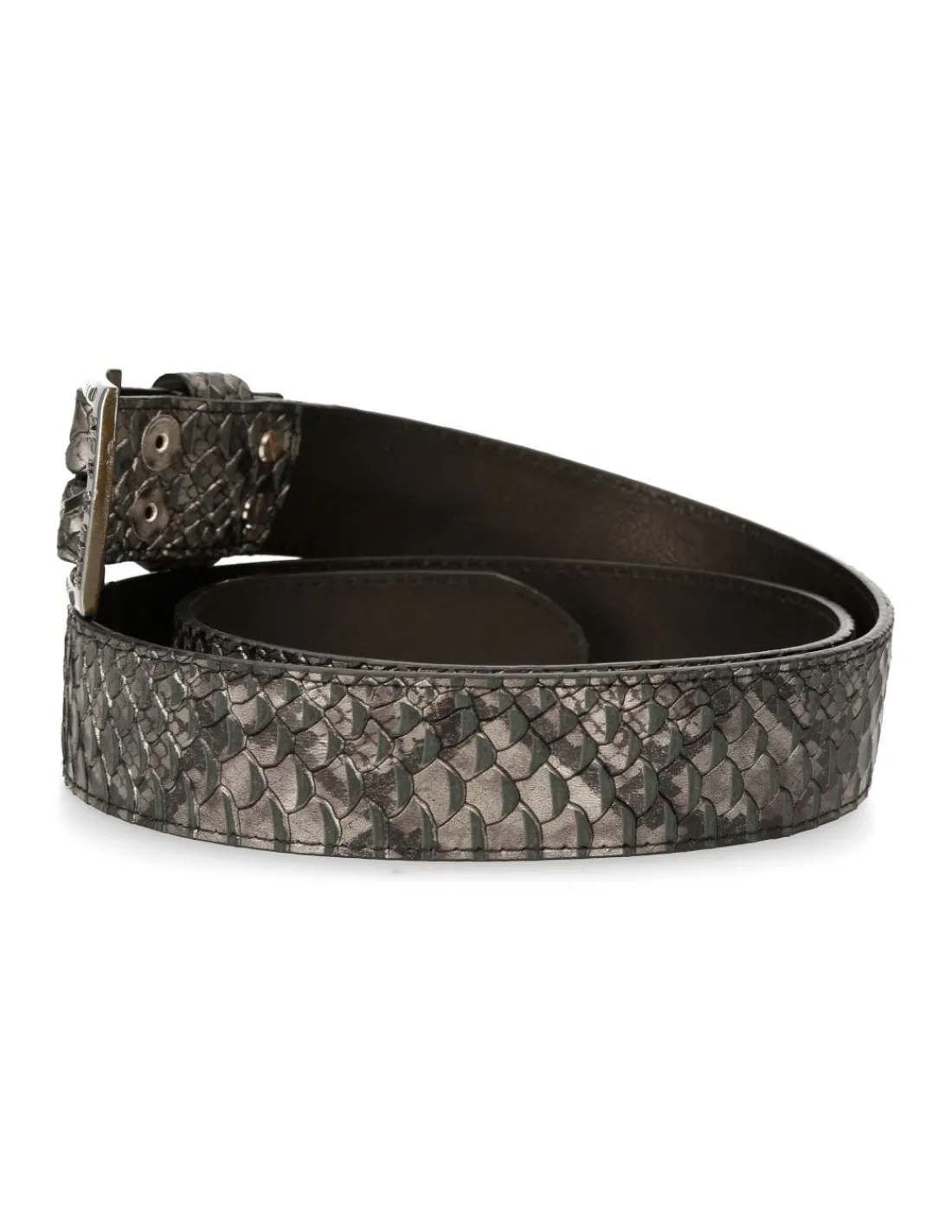 New Rock M-CINT209-C99 Hot